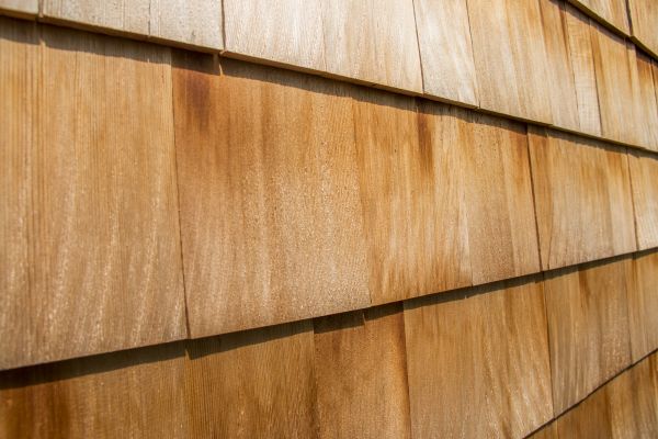 Cost of Cedar Siding Replacement in Tacoma