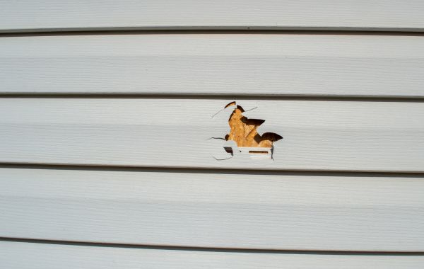 Cost of Siding Hole Patching in Tacoma