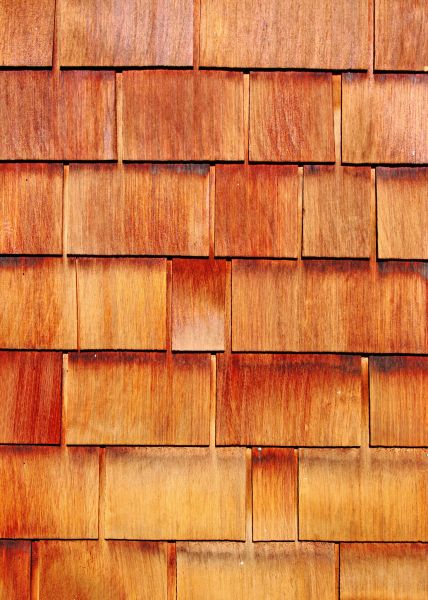 Cost of Wood Siding Replacement in Tacoma